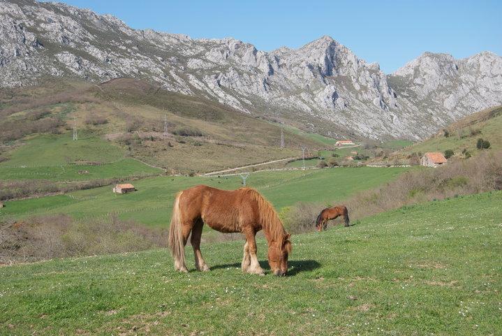 Гостевой дом El Molino De Сисера Экстерьер фото